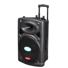 Portable and Rechargeable Speaker (TL-100) Wireless Speaker